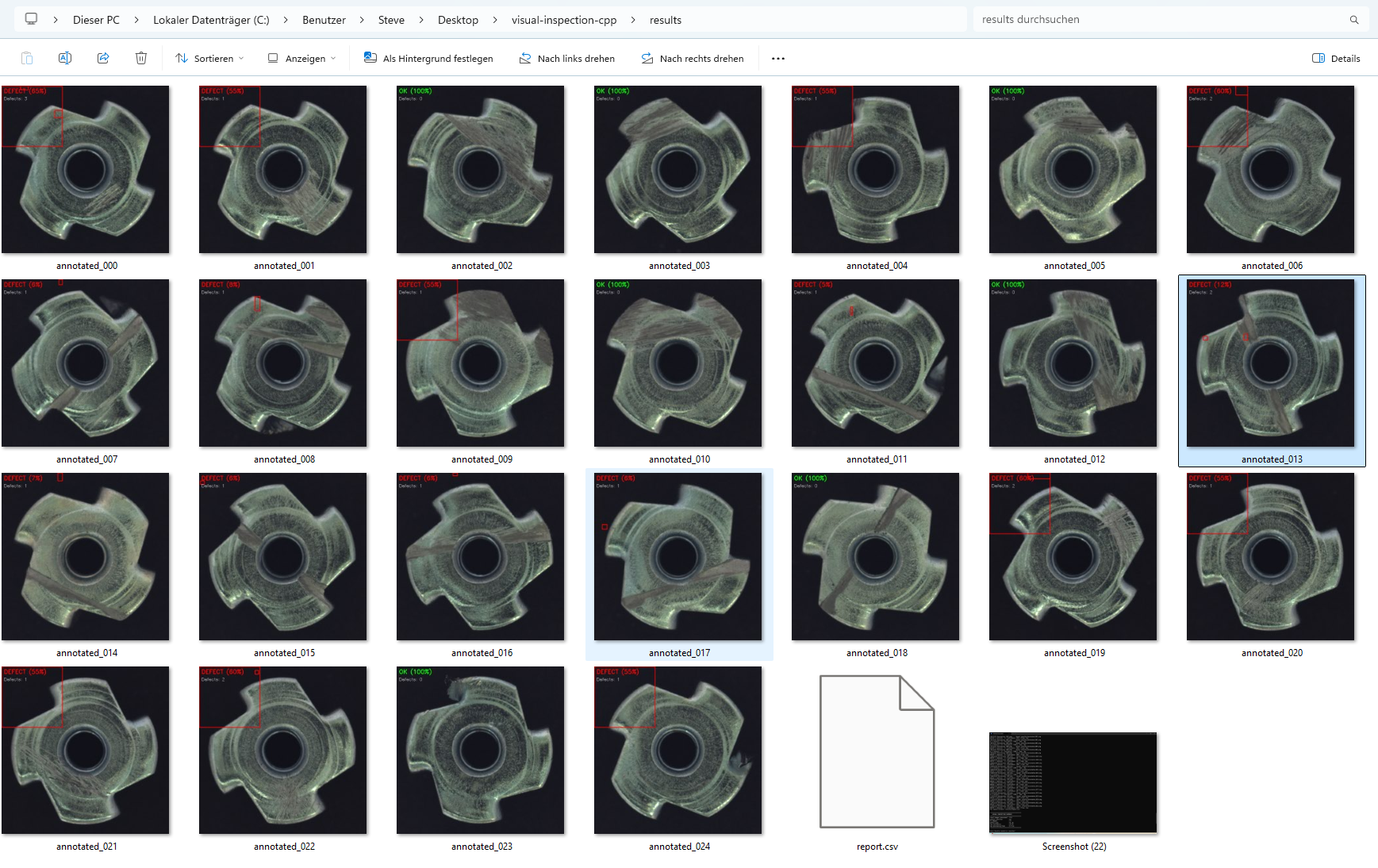 Visual Inspection Summary